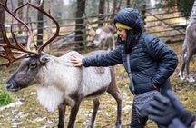 Autumn Local Reindeer Farm Visit with Professional Photographer