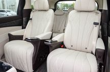 Premium Chongqing Private Tours: Highlights, Night View or Cruise