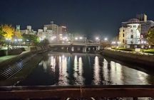 Hiroshima Peace Private Tour with Local: A-Bomb & Garden History