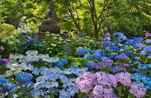 Kamakura & Enoshima 1-Day Bus Tour : From Tokyo
