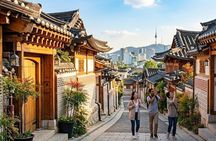 Seoul Private Tour: Half Morning, Evening or Full-Day Custom