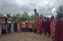 Maasai Village & Hot Springs or Materuni Waterfalls+ Coffee Tour