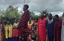 Maasai Village & Hot Springs or Materuni Waterfalls+ Coffee Tour