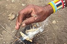 Maasai Village & Hot Springs or Materuni Waterfalls+ Coffee Tour