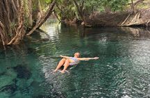 Maasai Village & Hot Springs or Materuni Waterfalls+ Coffee Tour