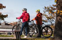 Private Highlights of Oslo by Bike