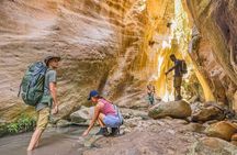 Minibus Safari: Avakas Gorge Lara Beach Sea Caves and Edro III.