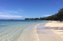 Aqua Adventure – Private North Tour & Turtle Discovery with Lunch