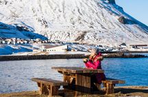 Grundarfjörður: West Iceland Shore Excursion