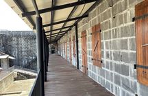 Aqua Adventure – Private North Tour & Turtle Discovery with Lunch