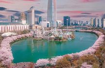 Seoul Lotte World Adventure Admission Tickets with options