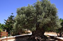Crete Food & Wine Tour: Olive Oil, Cheese & Wine Tasting