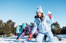 Lake Mountain Snow and Puffing Billy Tour from Melbourne