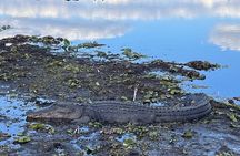 2-Hour Airboat Adventure