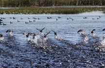 2-Hour Airboat Adventure