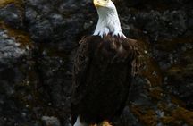 Beginner Friendly Scenic Full Day River Tour - Incl. Lunch