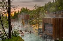 Forest Lagoon & Goðafoss Waterfall Small-Group Tour from Akureyri