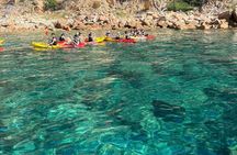 Barcelona: Costa Brava Kayak and Snorkel Day Trip