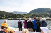 Tablelands Bonne Bay Catamaran Tour