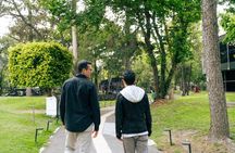 Mexico City Modern Art Museum Tour