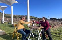 Wine Tour from Cagliari - Visit the vineyard and wine tasting