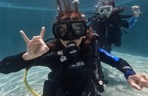 Private PADI 1-Day Scuba Certification in Cabo San Lucas