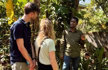 Moshi: Materuni Waterfall Hike & Coffee Tour and Traditional meal