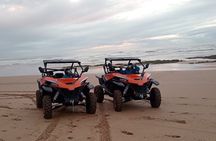 Essaouira Buggy Adventure: Beach, Dunes & Forest Ride