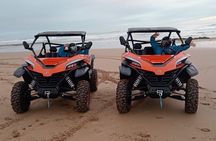 Essaouira Buggy Adventure: Beach, Dunes & Forest Ride