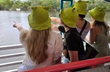 New Orleans Wings of the Wetlands Guided Birding Expedition