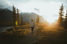 Icefields Parkway & Columbia Icefield Adventure Small Group Tour