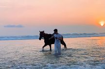 Sunset Seminyak Horseback Riding In The Beach Experience