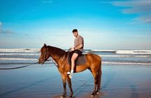 Sunset Seminyak Horseback Riding In The Beach Experience