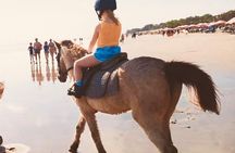 Sunset Seminyak Horseback Riding In The Beach Experience