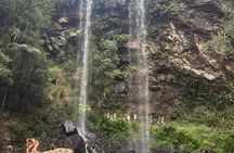 Gold Coast Private Tour at Scenic Hinterland Waterfalls