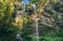 Gold Coast Private Tour at Scenic Hinterland Waterfalls