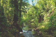 Tahiti: Nature & Planting Immersion Day