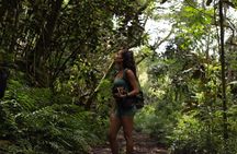 Tahiti: Nature & Planting Immersion Day