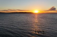 Auckland Tiritiri Matangi Island Sea Kayak and Penguin Tour