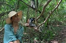Dolphin tour,Jozani forest,kuza cave,Paje Beach & Rock restaurant