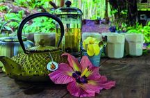 Tahiti: Nature & Planting Immersion Day