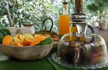 Tahiti: Guided Hiking in a Biodiversity Sanctuary