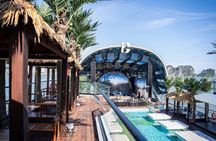 Halong Bay: Unique 6 star Dolphin Cruise with largest pool in VN