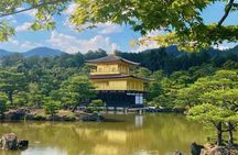 From Osaka or Kyoto: Kyoto and Nara 1-Day Bus Tour