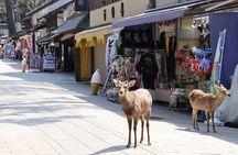 From Osaka or Kyoto: Kyoto and Nara 1-Day Bus Tour