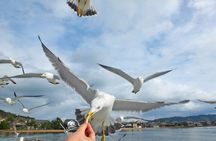 Amanohashidate & Miyama 1-Day Bus Tour: From Osaka/Kyoto w/ Lunch