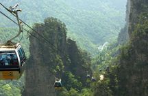 Zhangjiajie Avatar Floating Mountain 1 Day Private Tour
