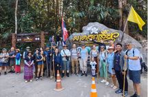Doi Inthanon National Park and Hike Pha Dok Siew Nature Trail
