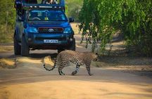 Yala National Park Safari Adventure