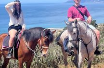 Sunset Half Day Horse Riding Experience in Agadir and Taghazout